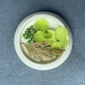 گل خشک ناخن کد 10