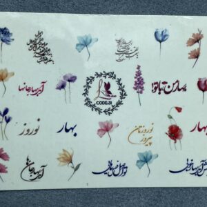 لنز ناخن کد 31