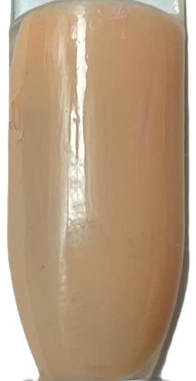 لاک ژل لاکچری 10ml کد 10 - تصویر 2